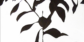 Natal Plum